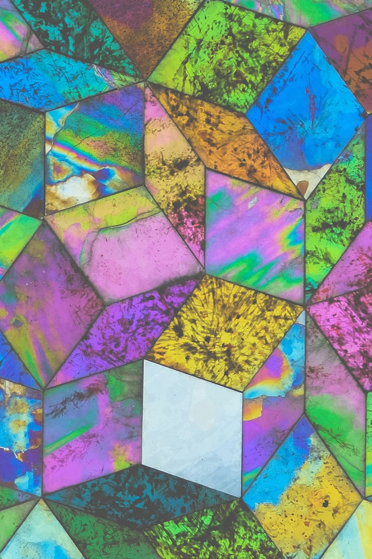 Key-Visual MV 2026_Web