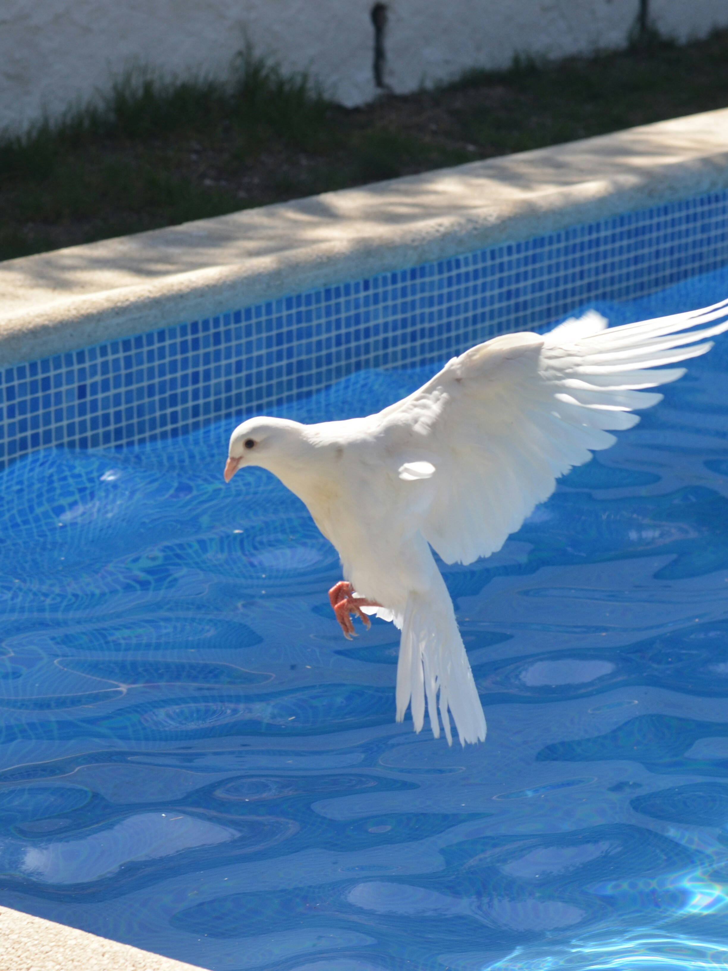 abdelaziz-amraoui-i71jojmjyfw-unsplash2.jpg abdelaziz-amraoui-i71jojmjyfw-unsplash2.jpg